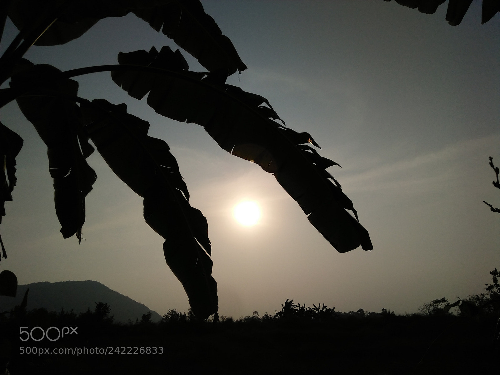 OPPO A37fw-International sample photo. Untitled photography