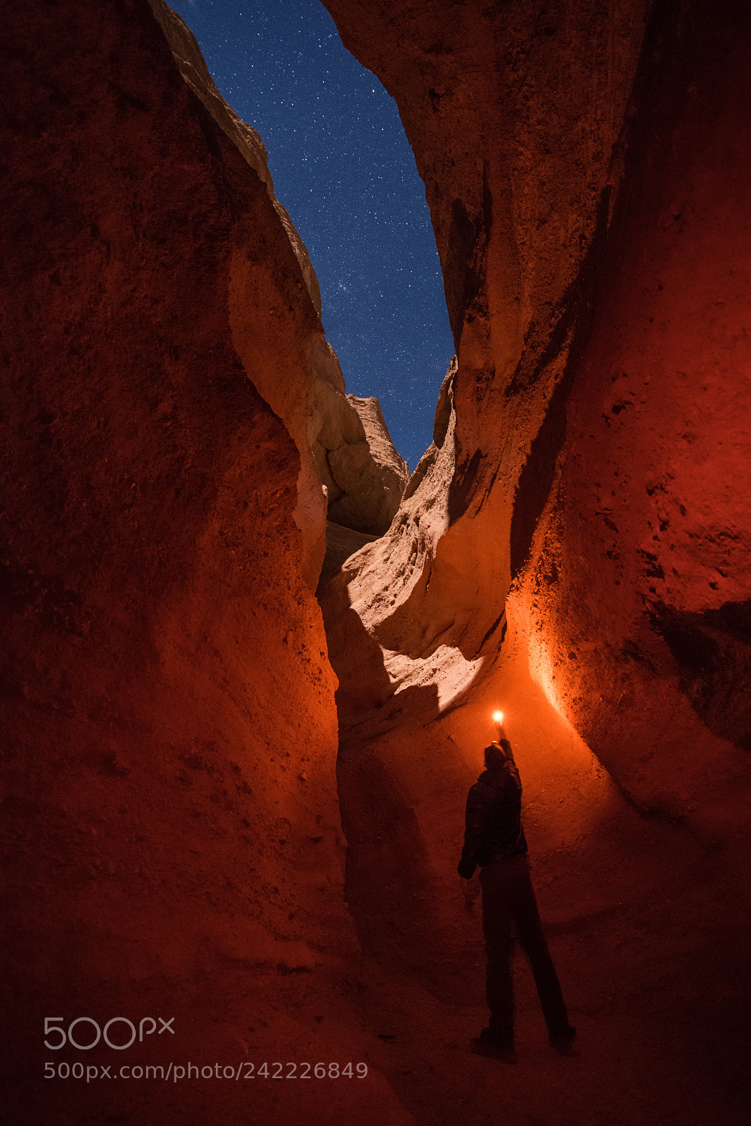 Nikon D810 sample photo. Finding the sky photography