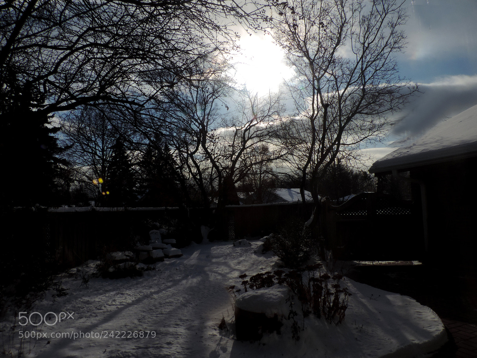 Nikon Coolpix P520 sample photo. Late afternoon 1 photography