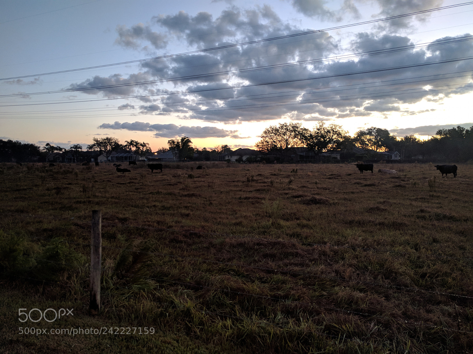 Google Nexus 6P sample photo. Untitled photography