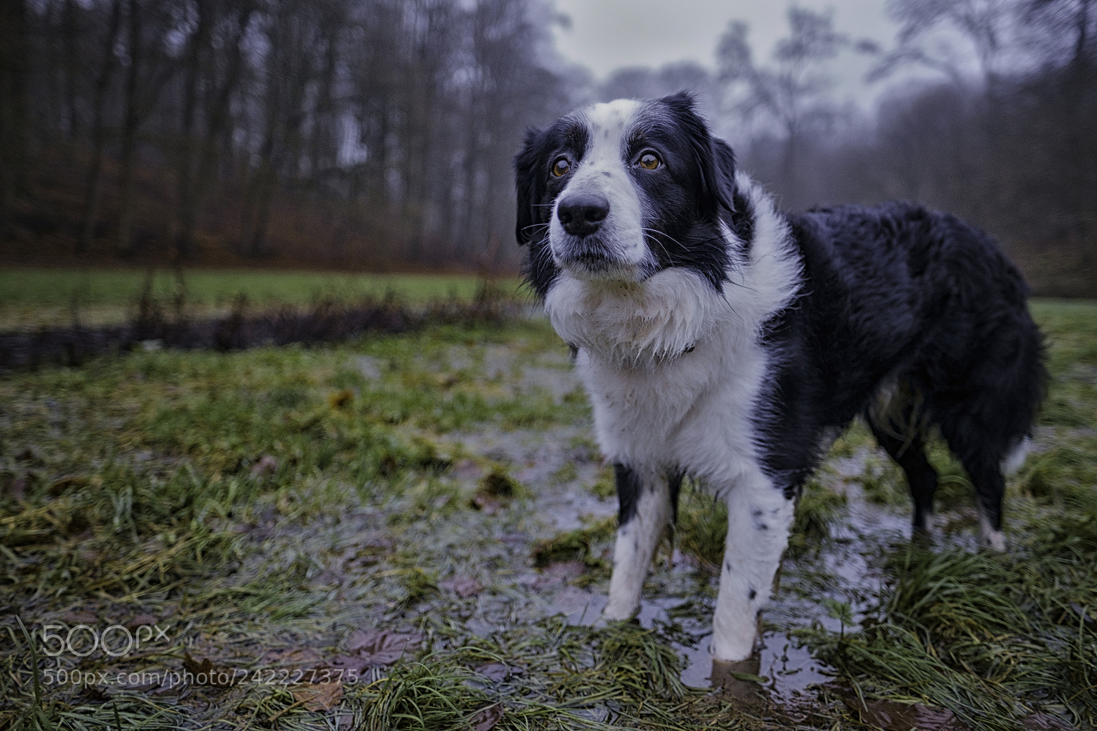 Fujifilm X-Pro1 sample photo. Wet feet photography