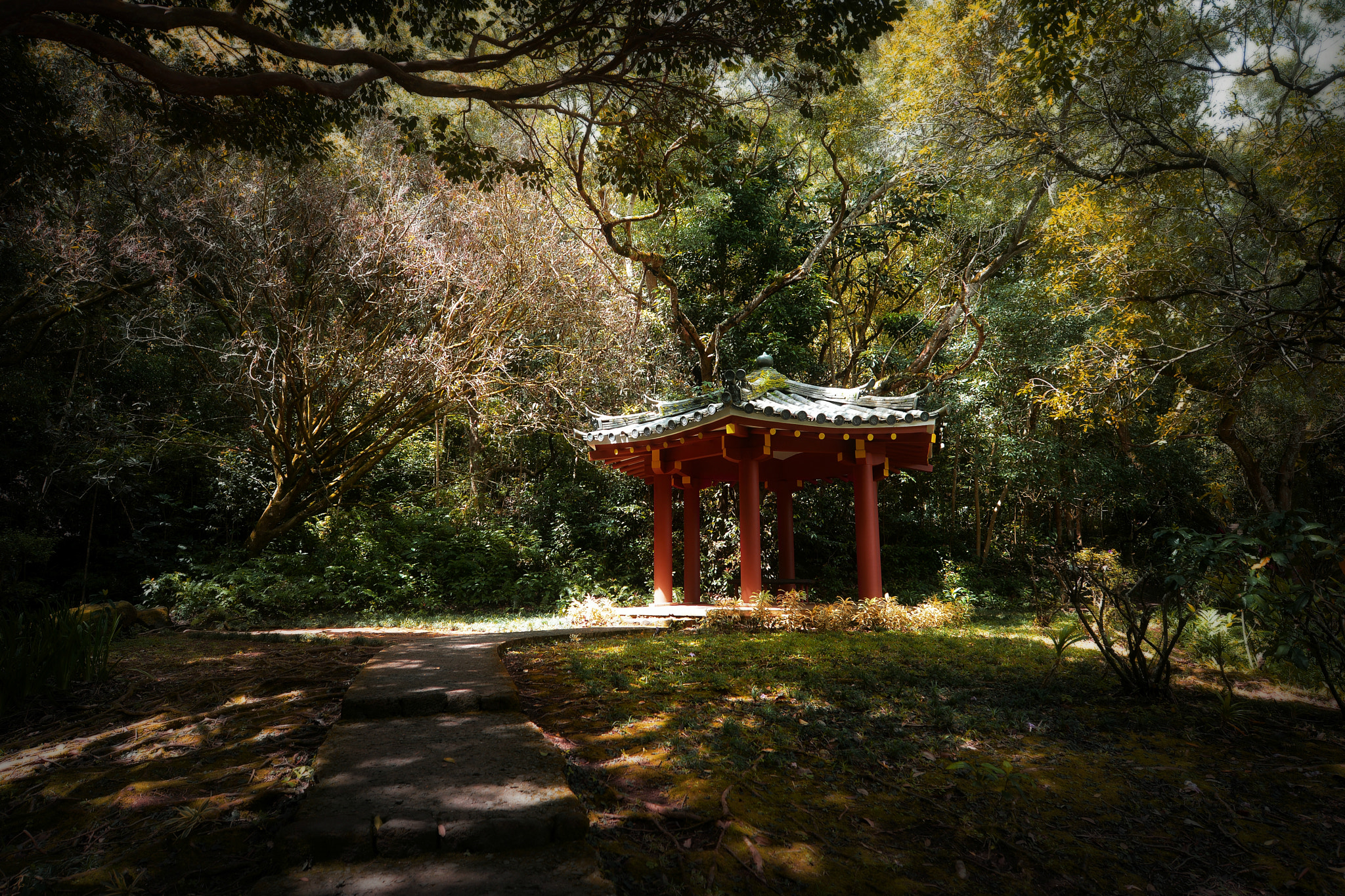 Nikon AF-S Nikkor 14-24mm F2.8G ED sample photo. 瞑想 photography