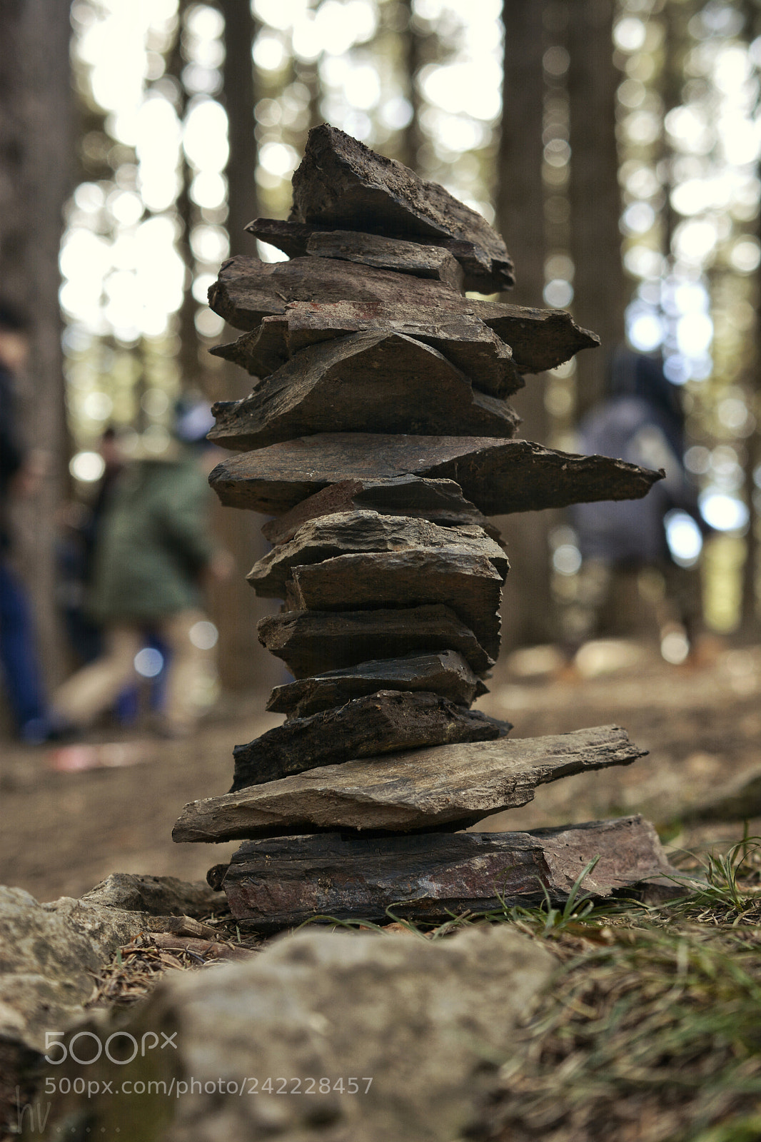 Nikon D7100 sample photo. Built photography