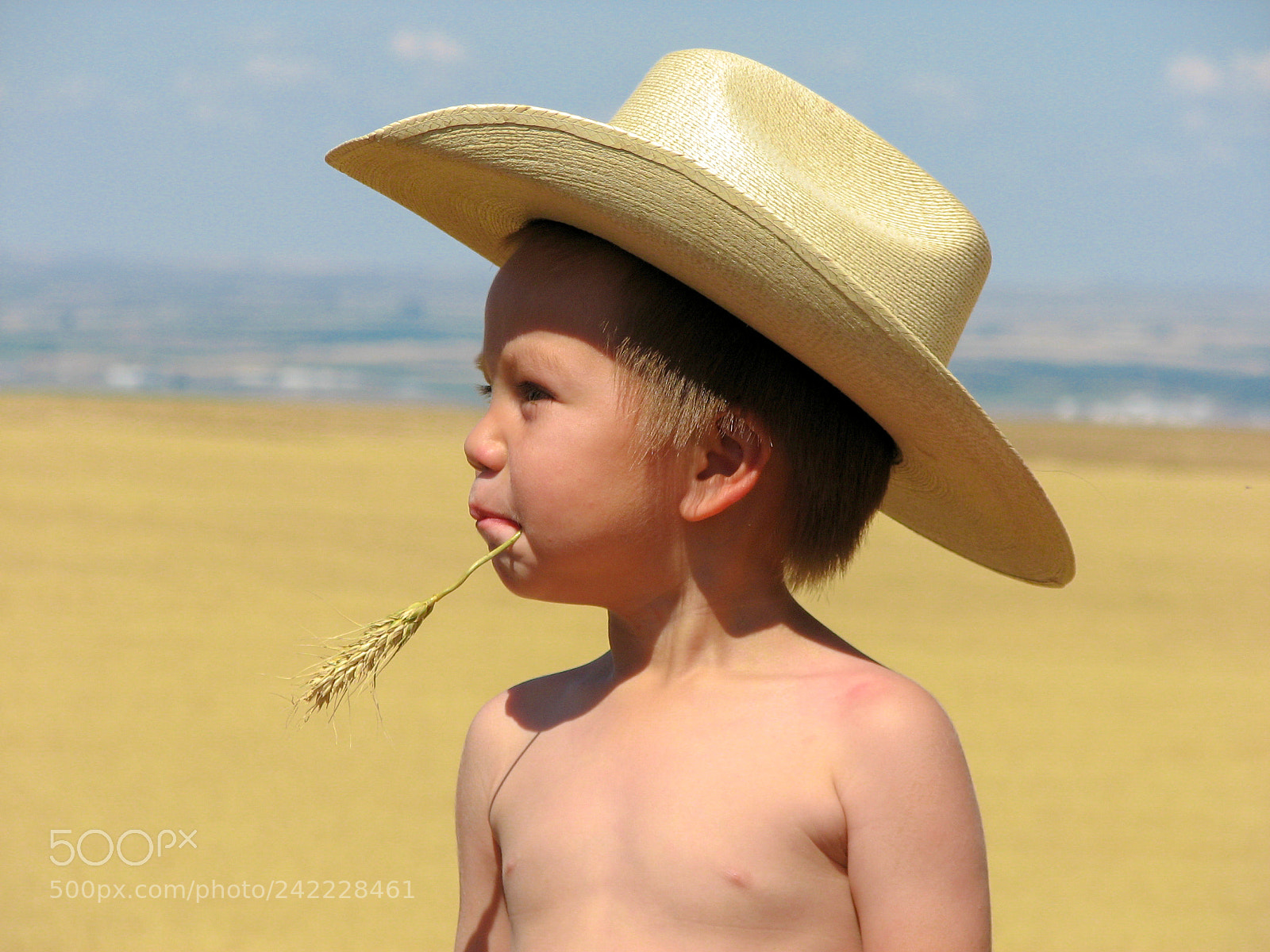 Canon POWERSHOT S3 IS sample photo. N8tive cowboy photography