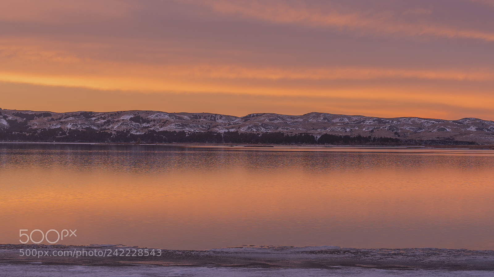 Sony a99 II sample photo. Orange morning photography