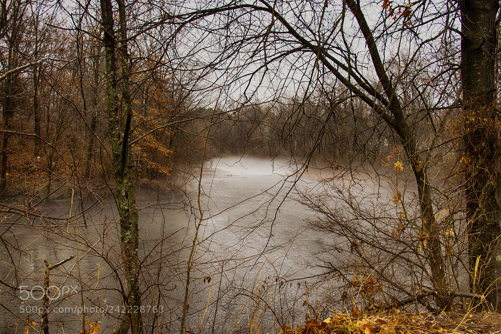 Canon EOS 7D Mark II sample photo. Lake fog photography