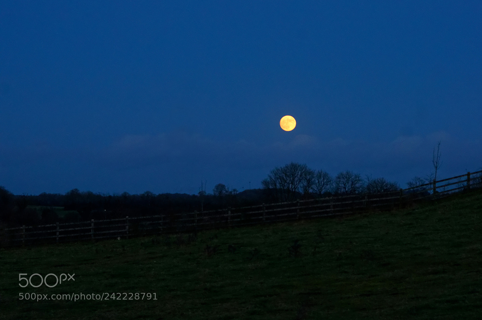Sony Alpha DSLR-A580 sample photo. Last full moon in 2017 photography