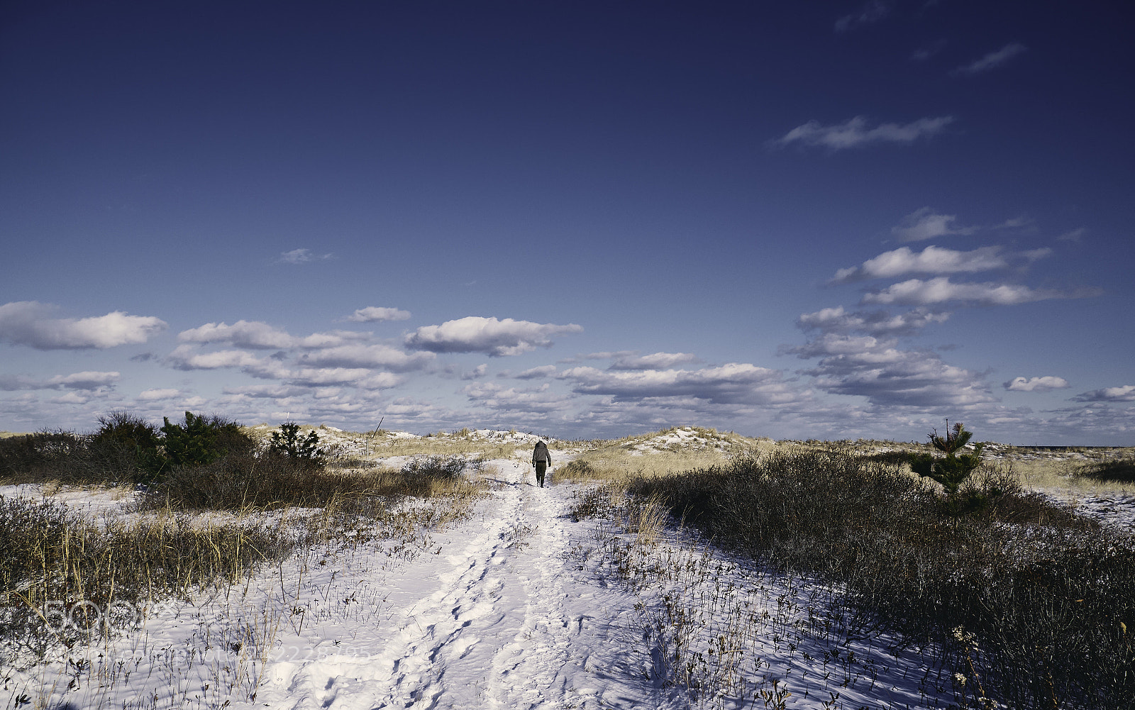 Panasonic Lumix DMC-G85 (Lumix DMC-G80) sample photo. Winter dunes 8 photography