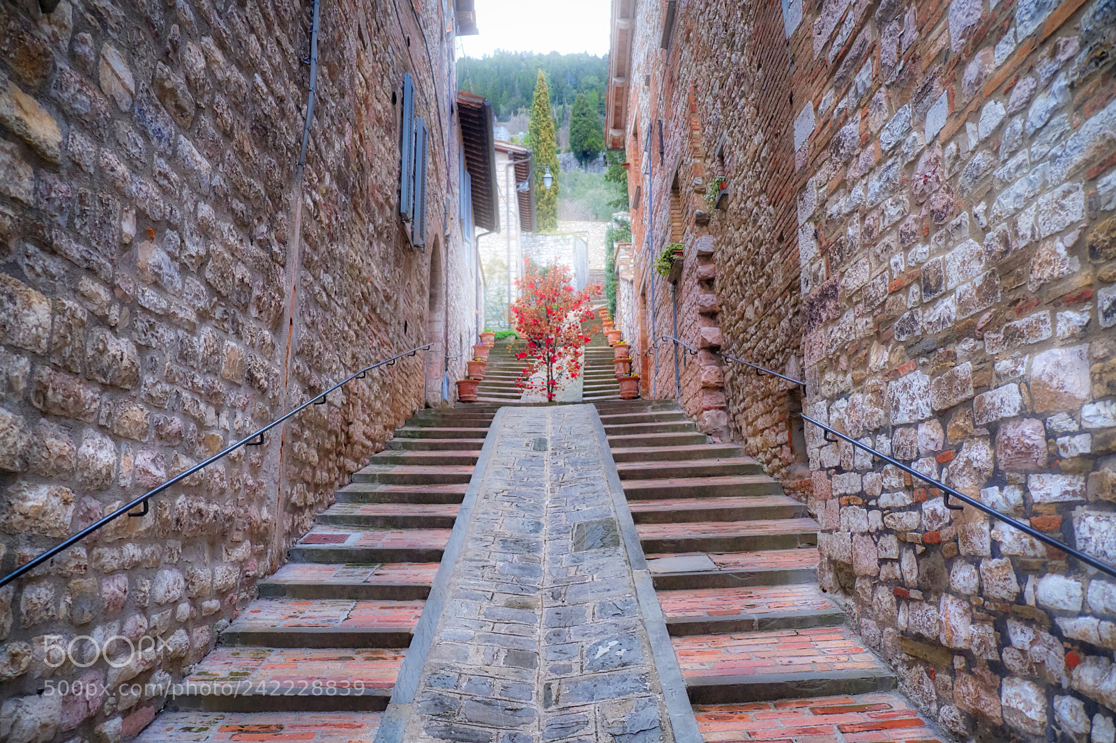 Fujifilm X-Pro2 sample photo. Stairway to heaven photography