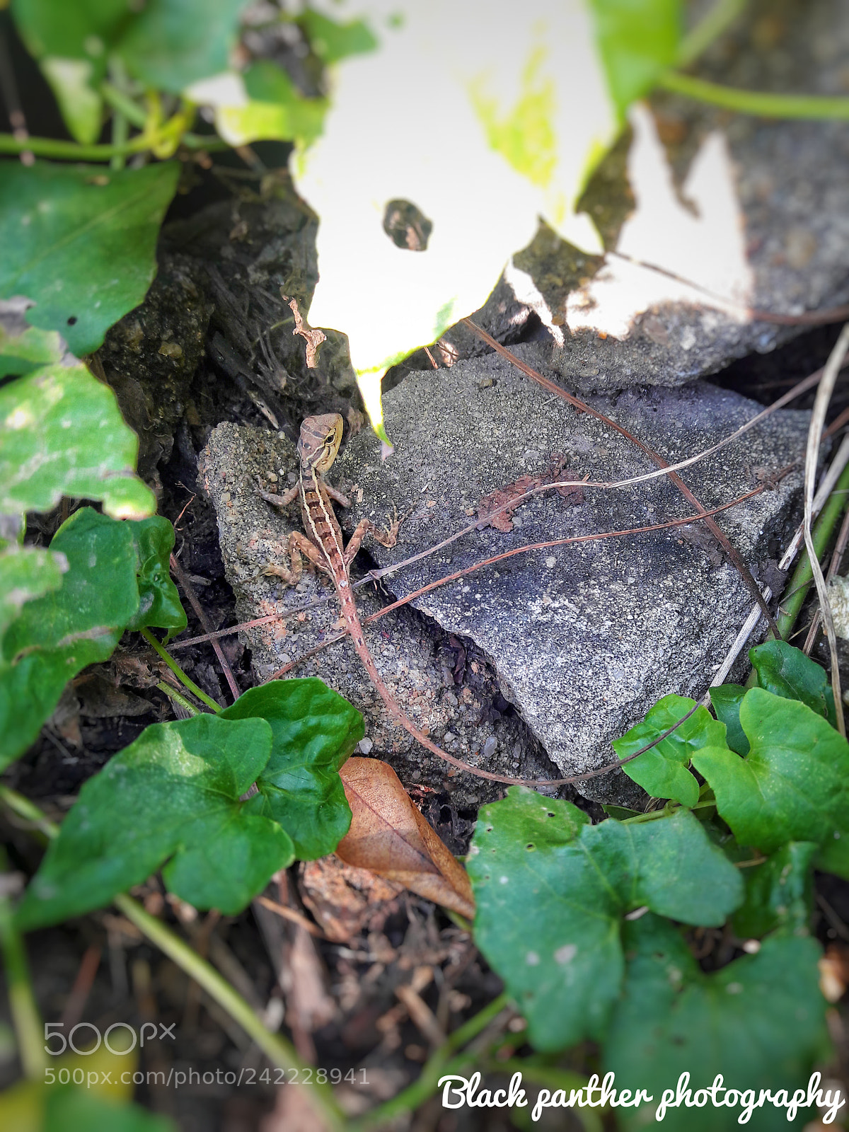 Samsung Galaxy J7 sample photo. Untitled photography