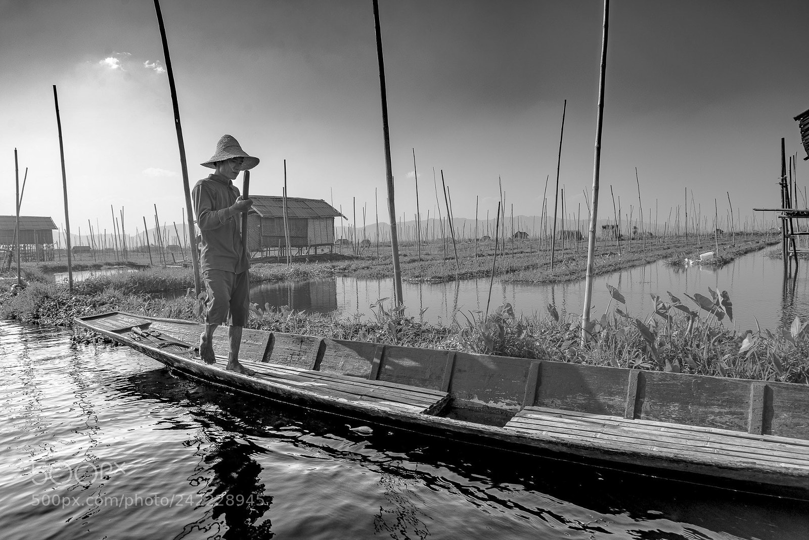 Nikon D800E sample photo. Fishing at inle lake photography