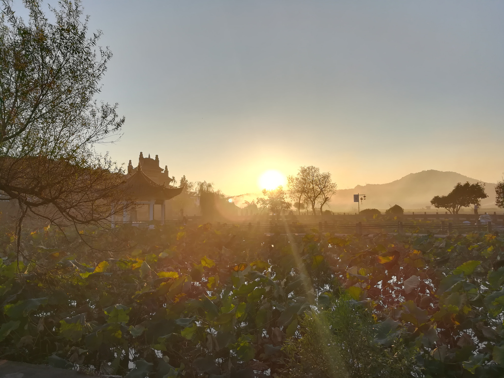 HUAWEI c??Eu?s 6X sample photo