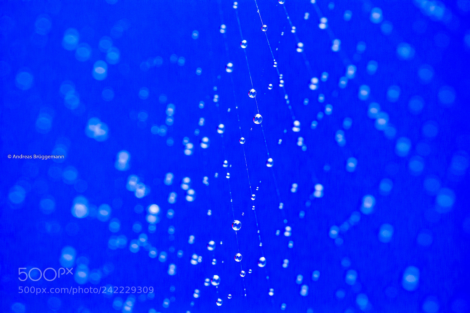 Canon EOS 60D sample photo. Raindrops_4 photography