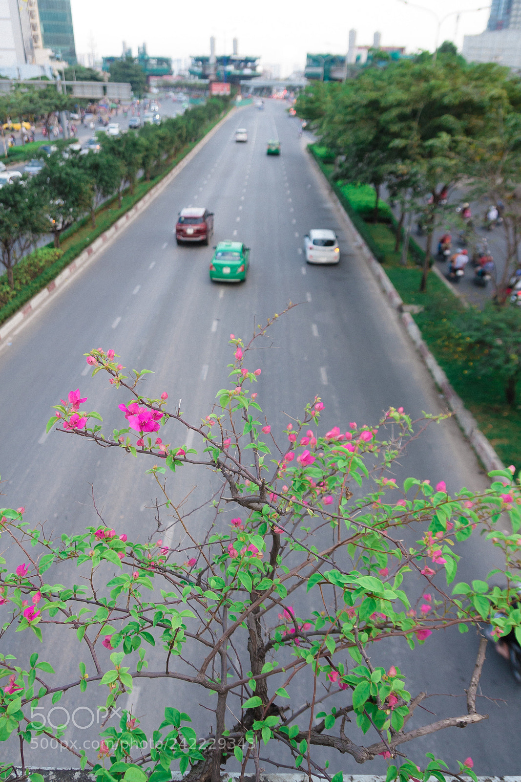 Canon EOS 40D sample photo. Tet holiday in viet photography