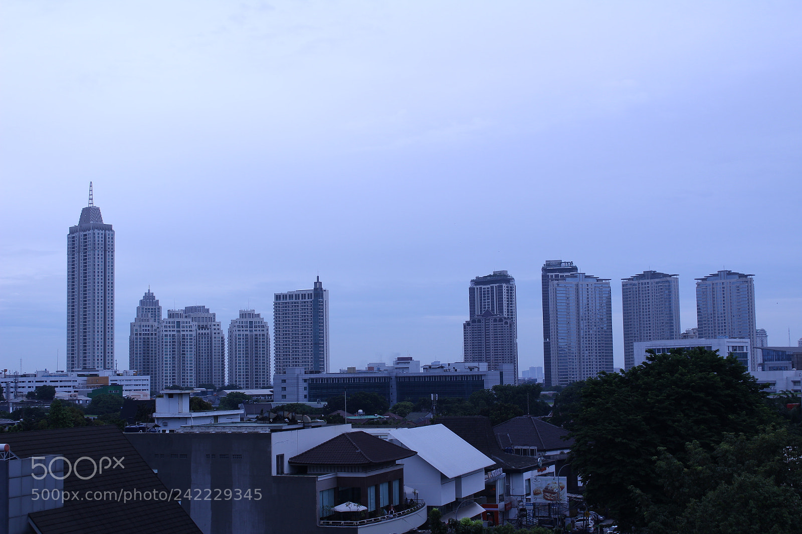 Canon EF-S 18-55mm F3.5-5.6 III sample photo. Img photography