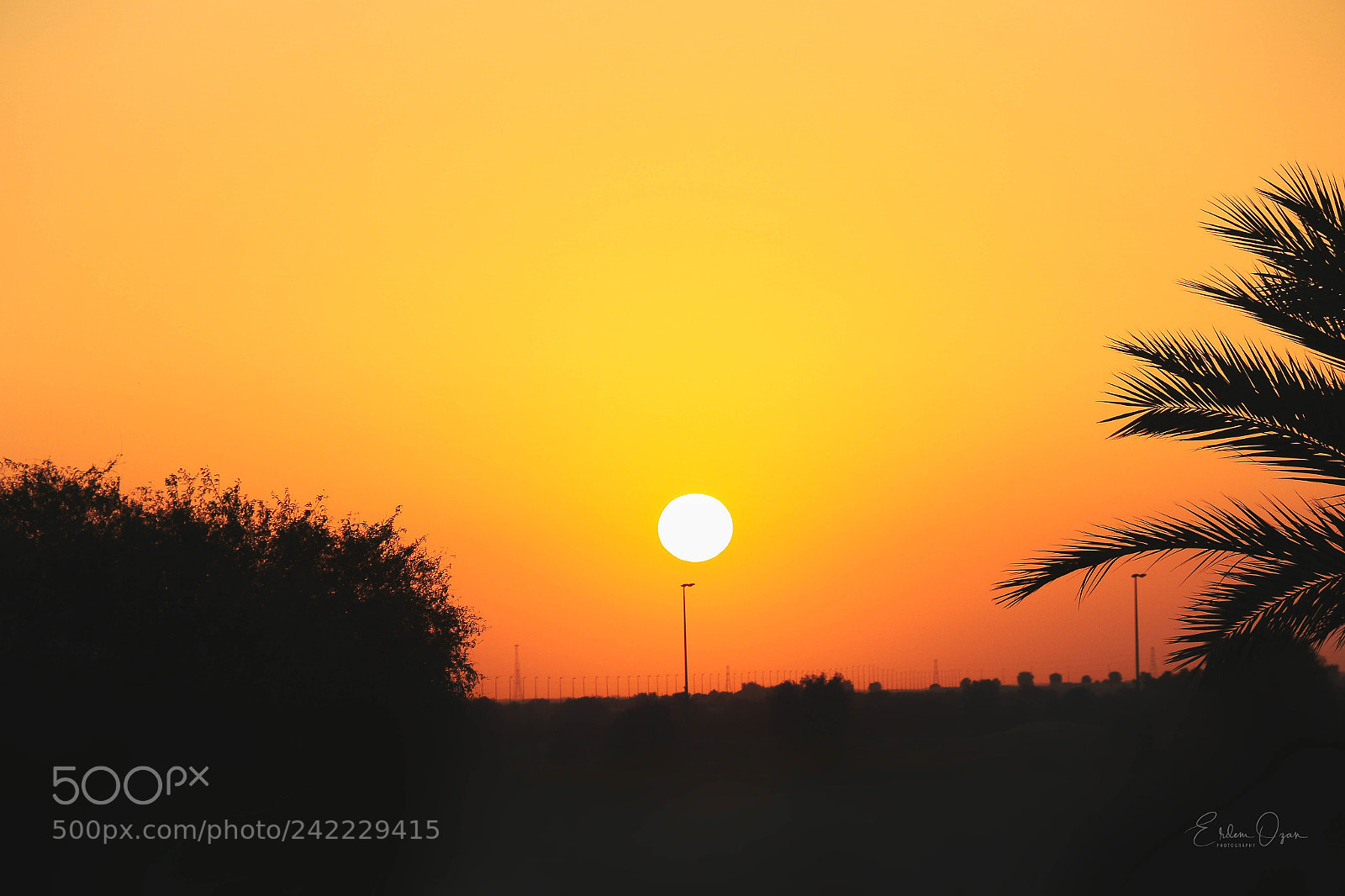 Canon EOS 7D Mark II sample photo. Desert sun photography