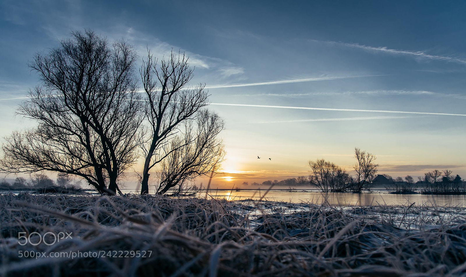 Nikon D700 sample photo. Winter morning photography