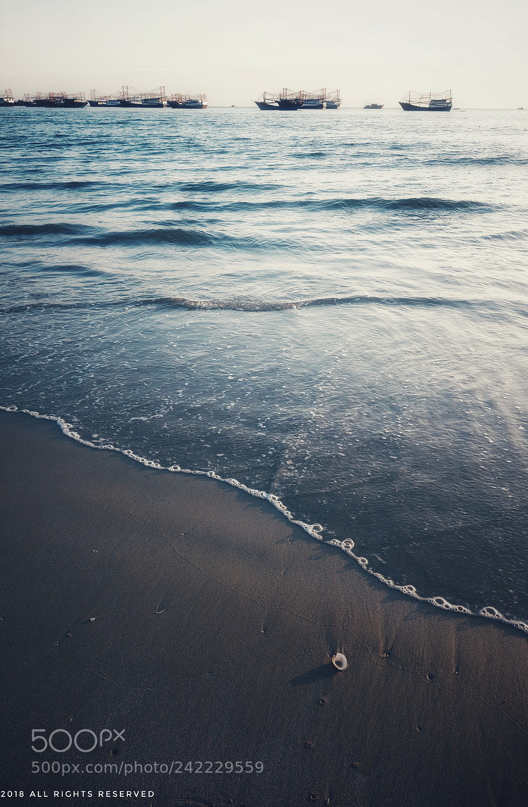 Sony Cyber-shot DSC-RX100 sample photo. Sea surf shell photography