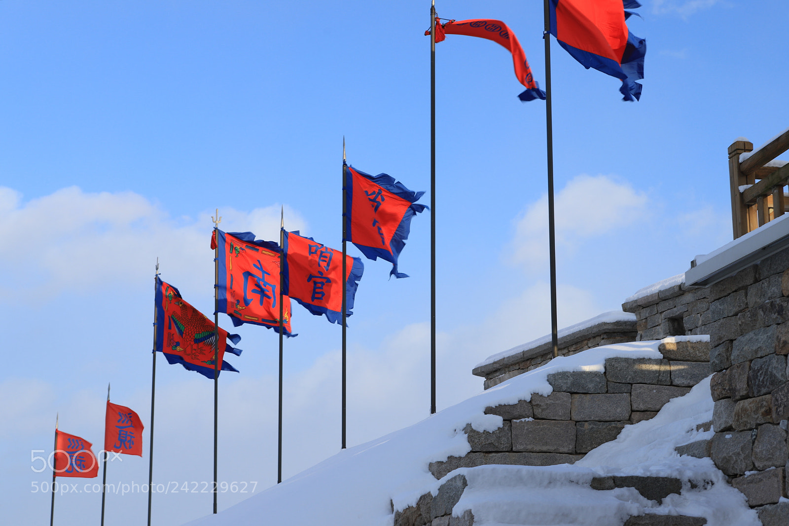 Canon EOS 6D Mark II sample photo. Winter wind photography