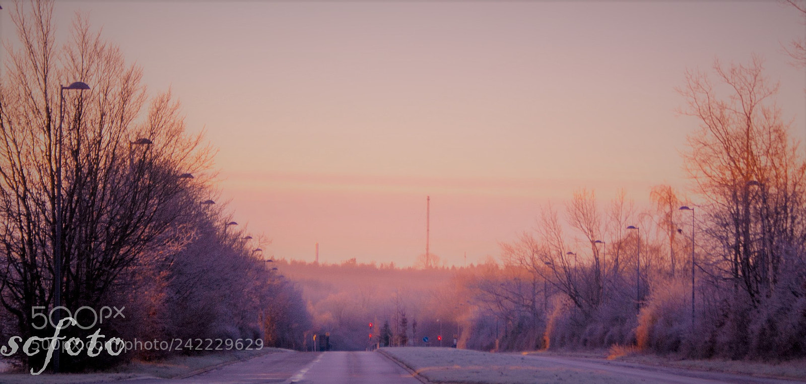 Sony Alpha DSLR-A200 sample photo. Early morning frost photography
