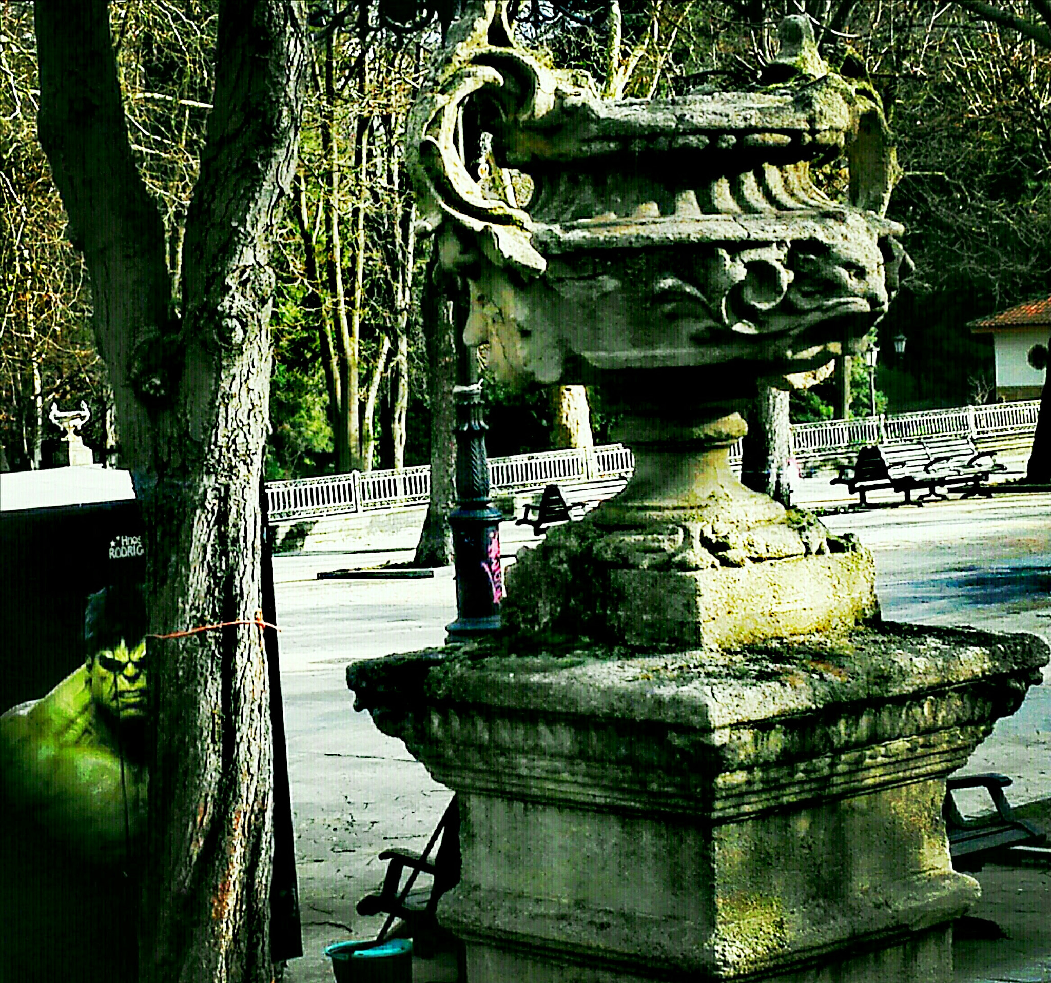 HUAWEI Mate 7 sample photo. Green spy in the park photography