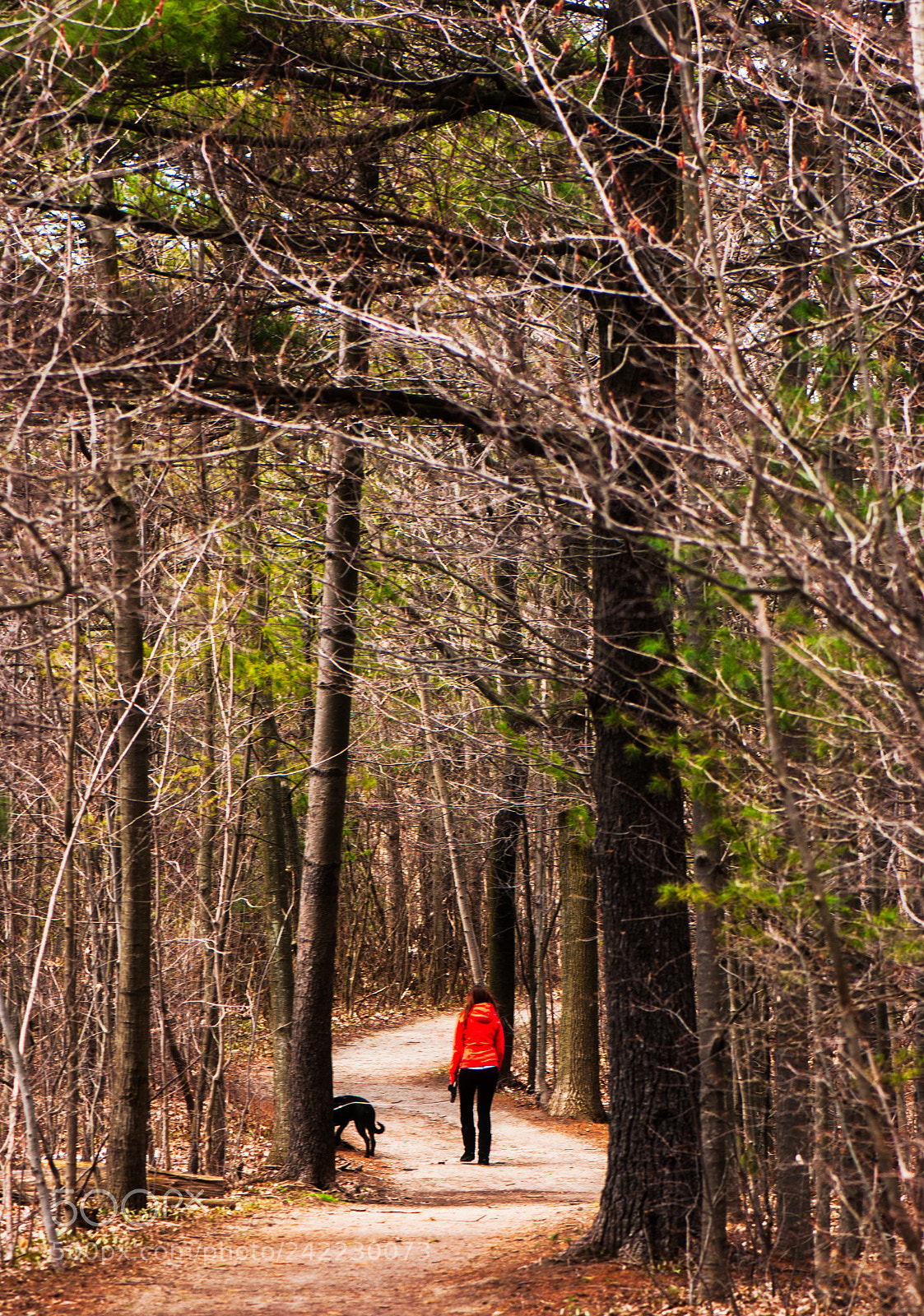 Nikon D80 sample photo. Alone with my dog photography