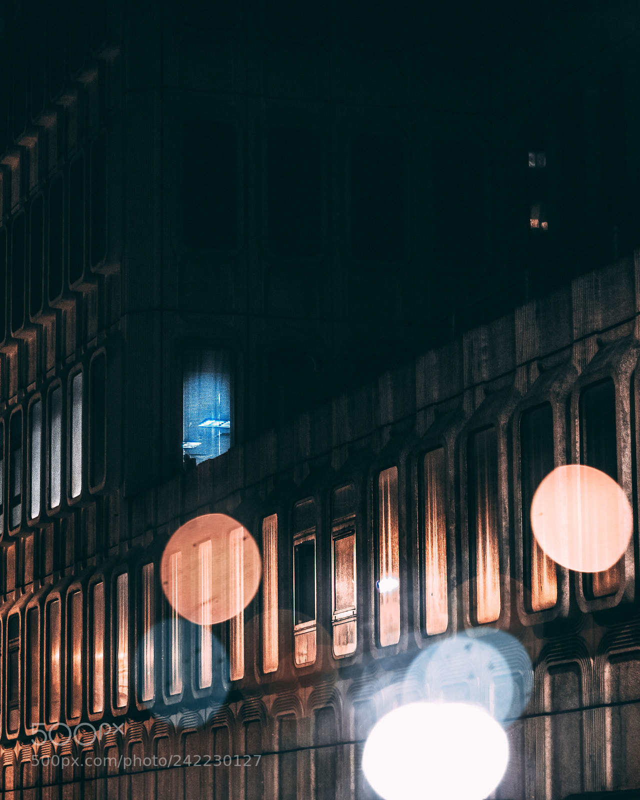 Canon EOS 750D (EOS Rebel T6i / EOS Kiss X8i) sample photo. Blade runner photography