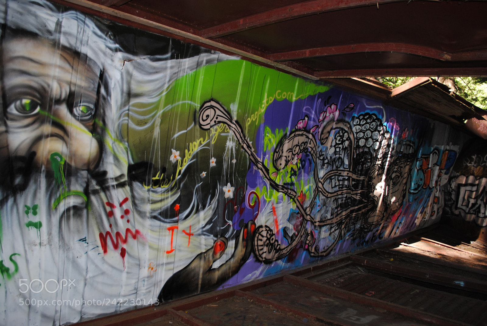 Nikon D3000 sample photo. Abandoned train photography