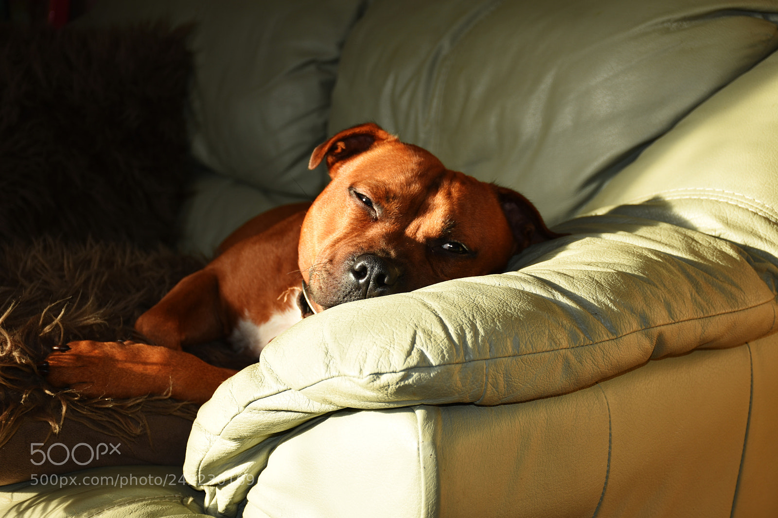 Nikon D7200 sample photo. Nesta photography