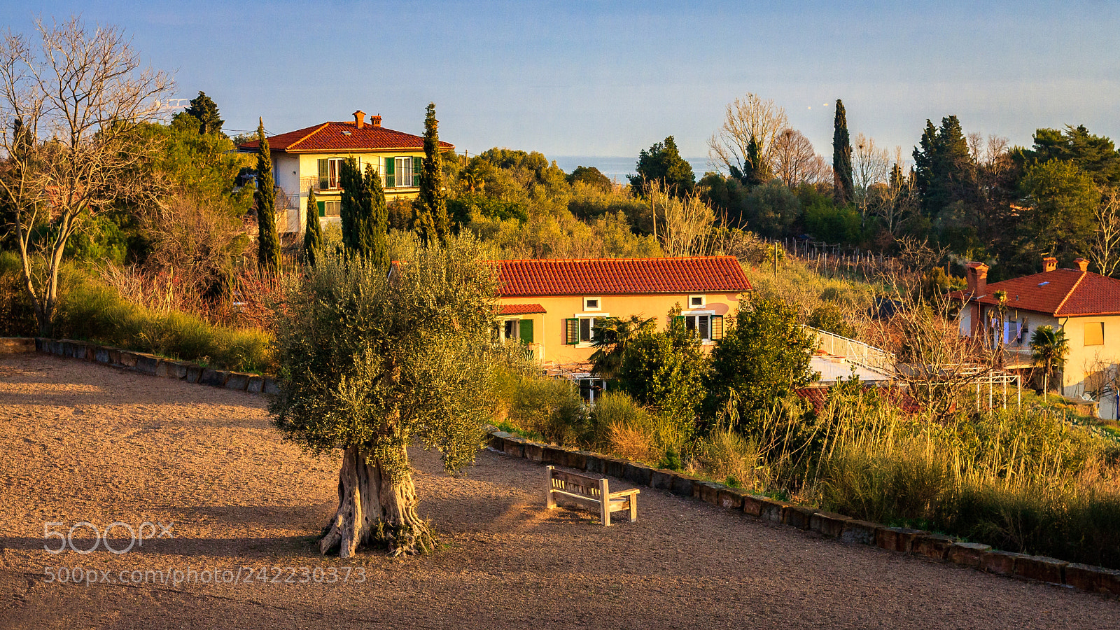 Canon EOS 40D sample photo. Morning in piran photography