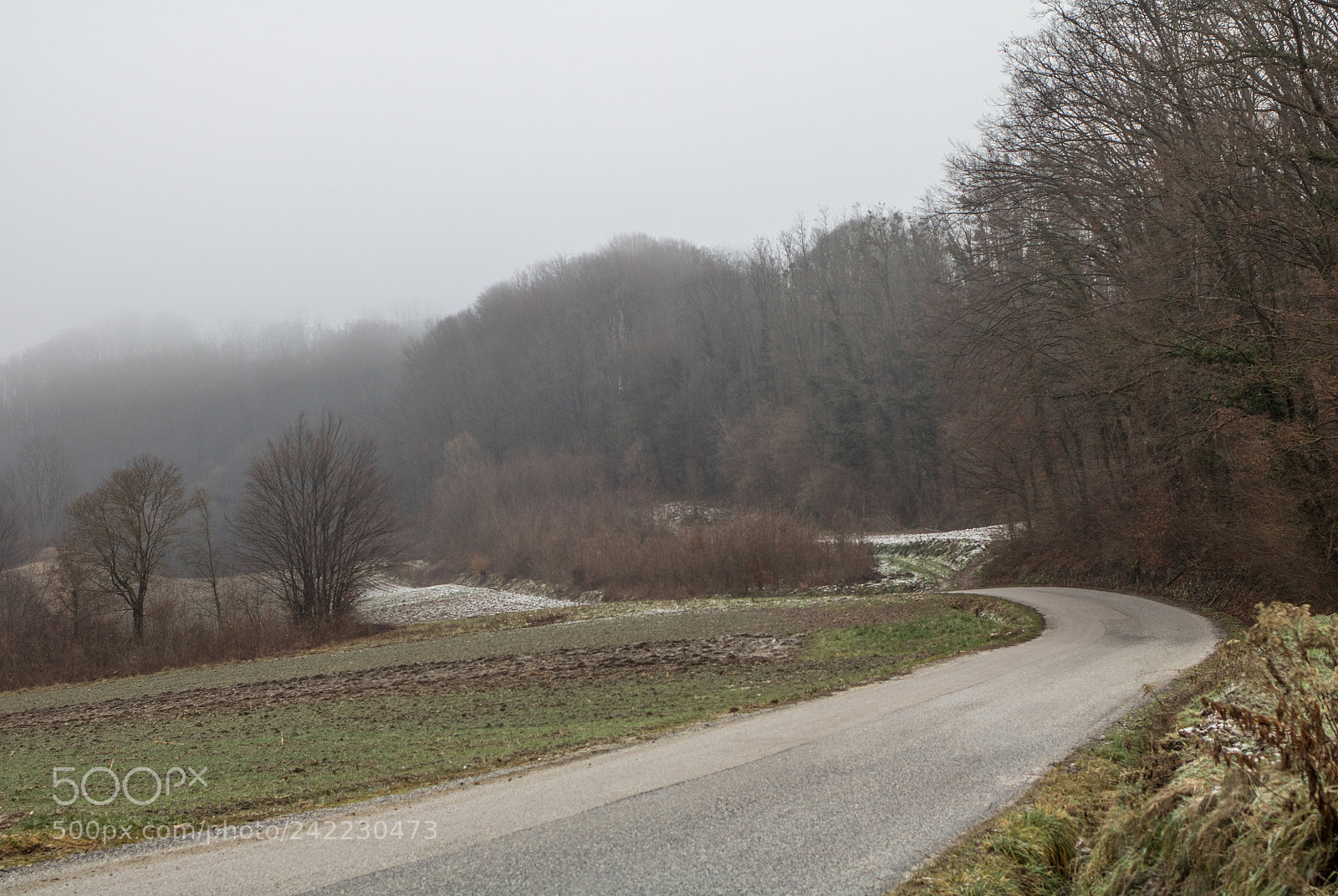 Canon EOS 760D (EOS Rebel T6s / EOS 8000D) sample photo. Img photography