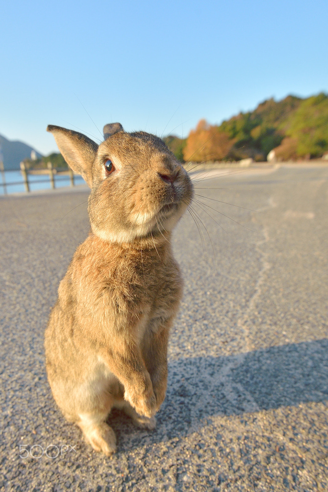 Nikon AF-S Nikkor 16-35mm F4G ED VR sample photo. Hello photography