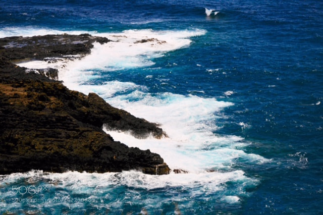 Nikon D300 sample photo. Cliffs at kilauea photography