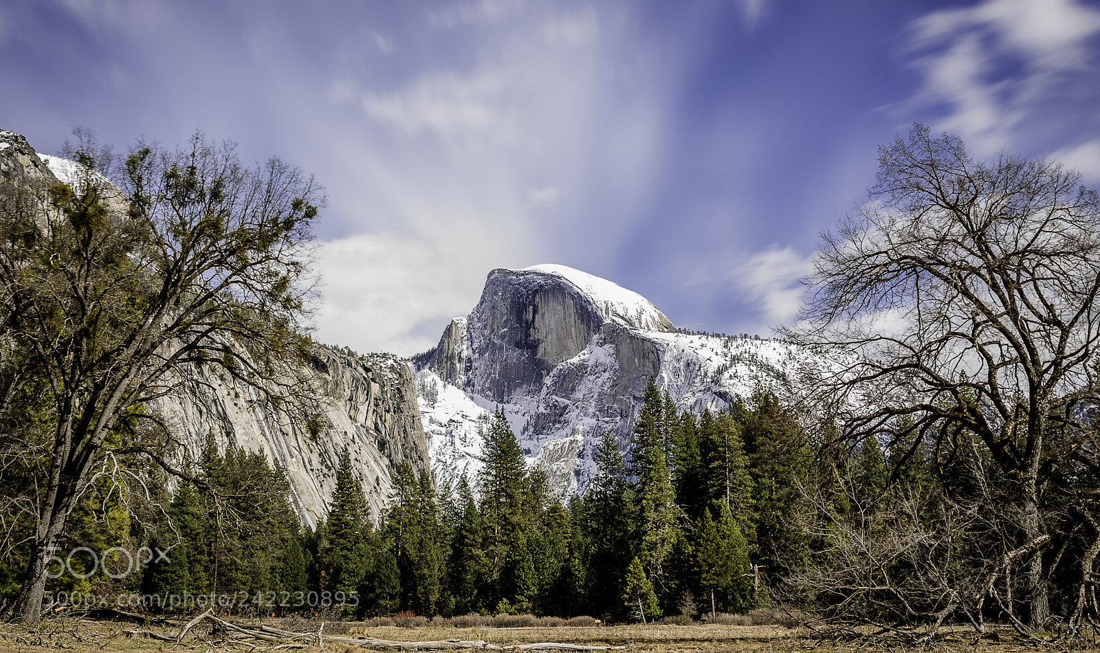 Nikon D810 sample photo. Half dome photography