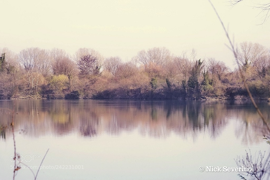 Sony a7R sample photo. Landscape in soft colors photography