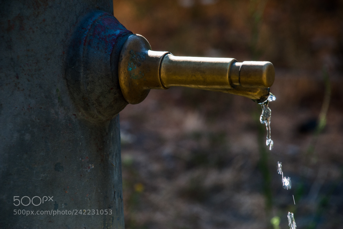 Nikon D3000 sample photo. "nasone" photography