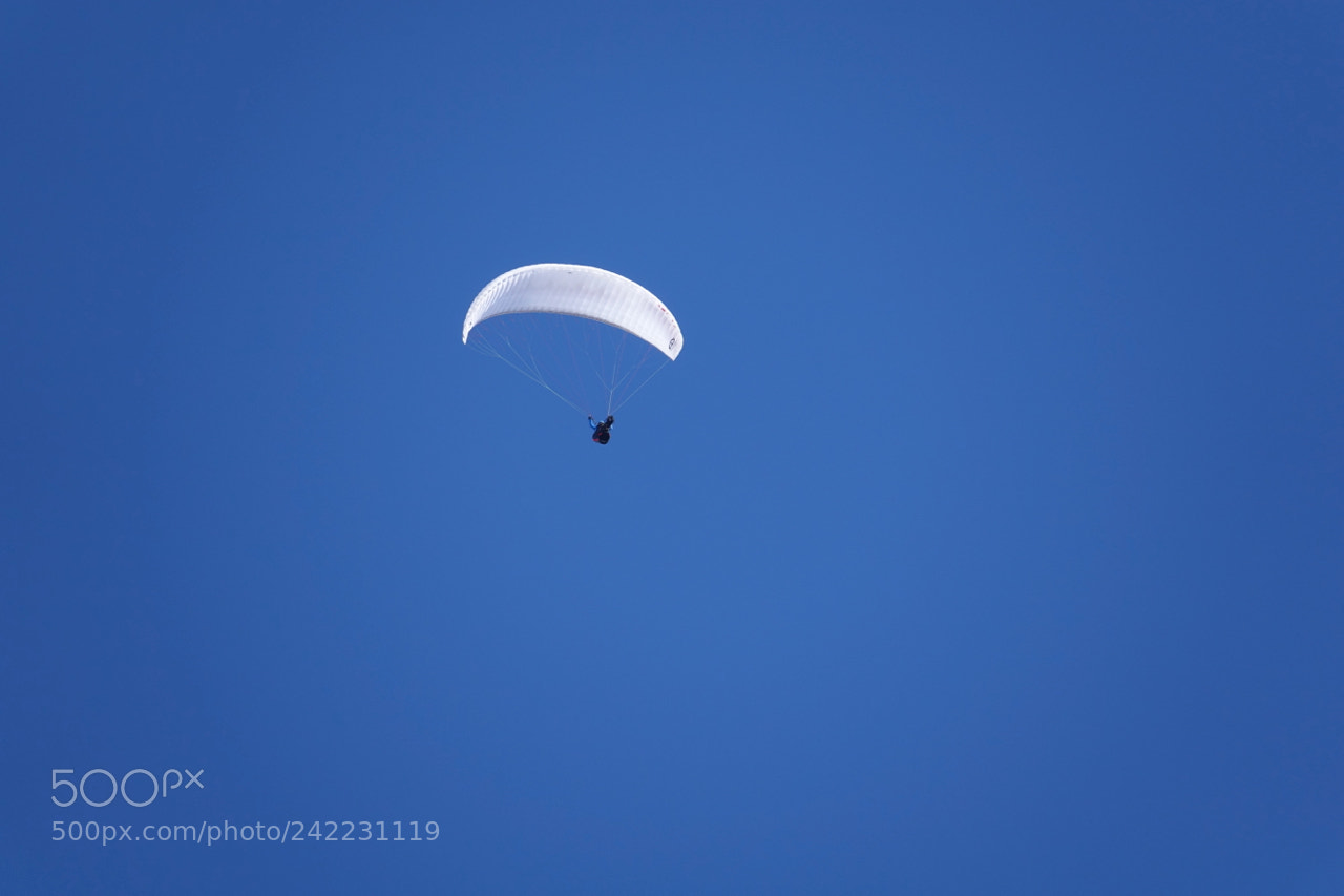 Sony Cyber-shot DSC-RX10 III sample photo. The sky is blue photography