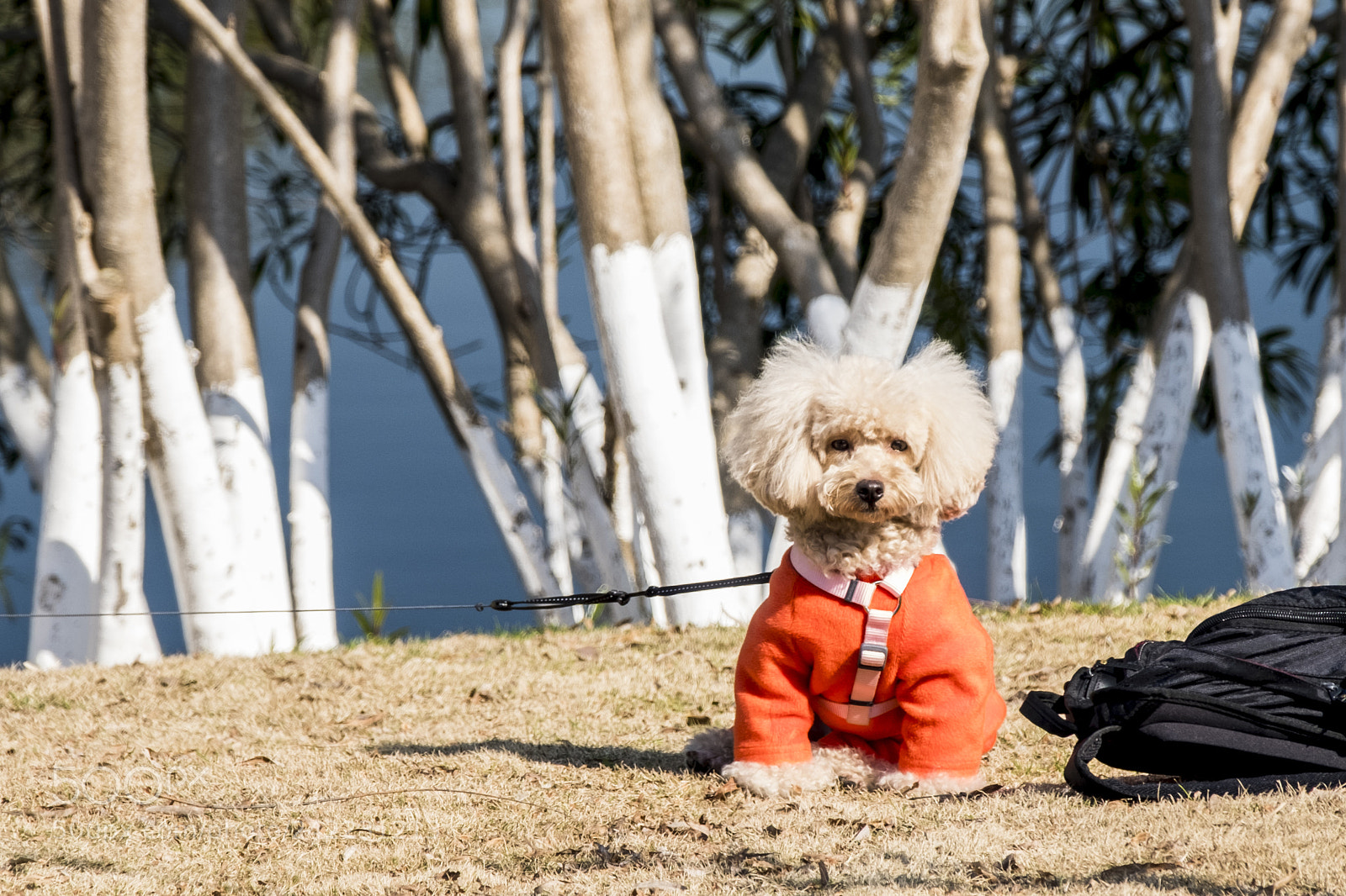 Fujifilm X-E3 sample photo. Untitled photography
