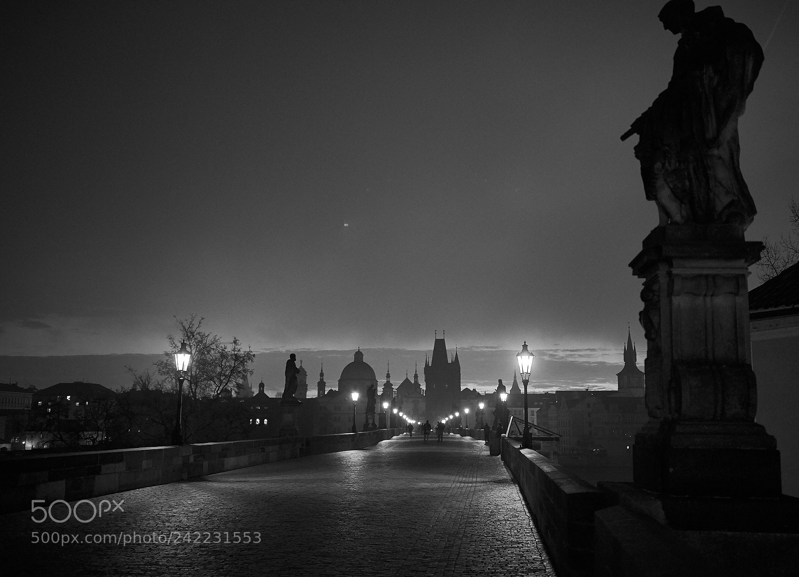 Canon EOS-1D X sample photo. Karlov most photography