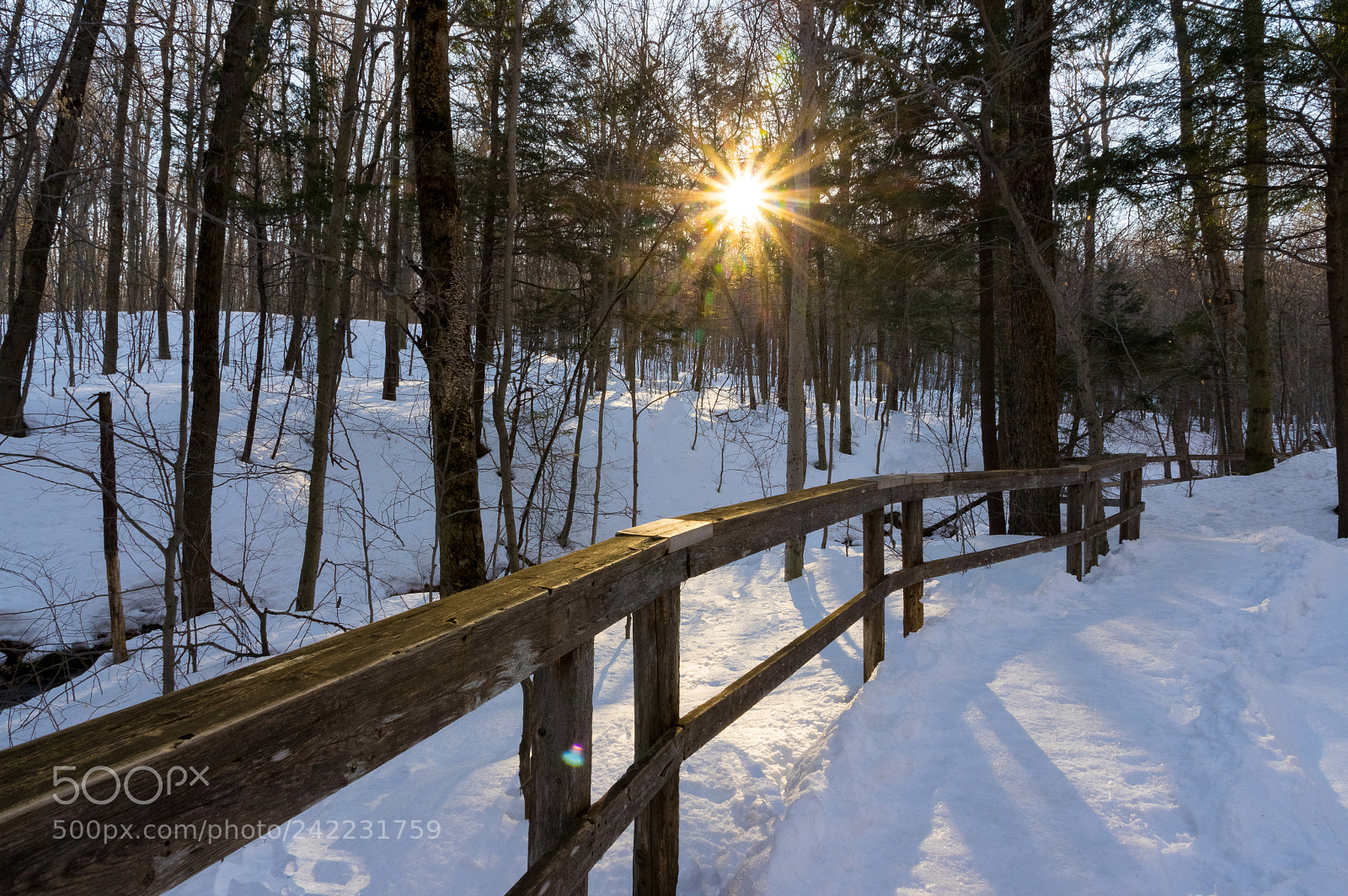 Pentax K-3 II sample photo. Le sentier photography