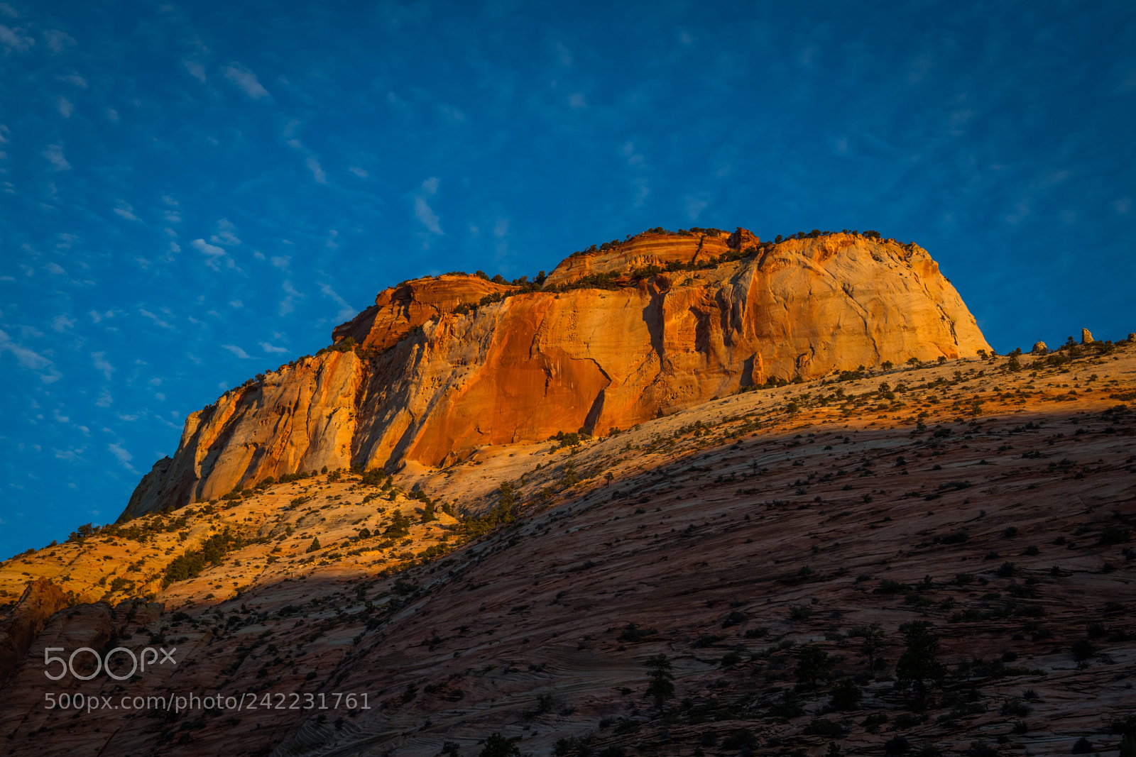 Nikon D850 sample photo. Zion national park photography