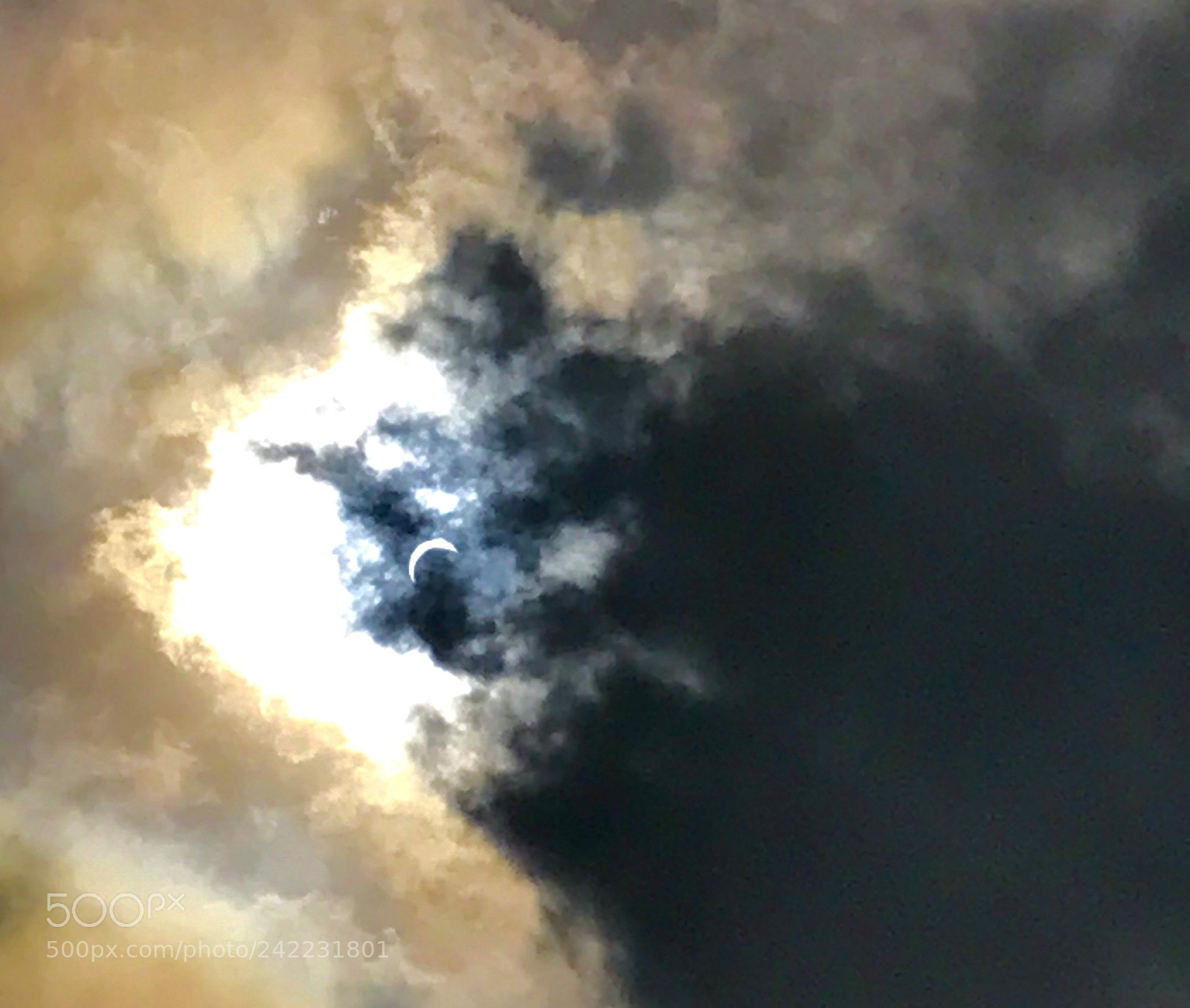 Apple iPhone 7 sample photo. Untitled photography