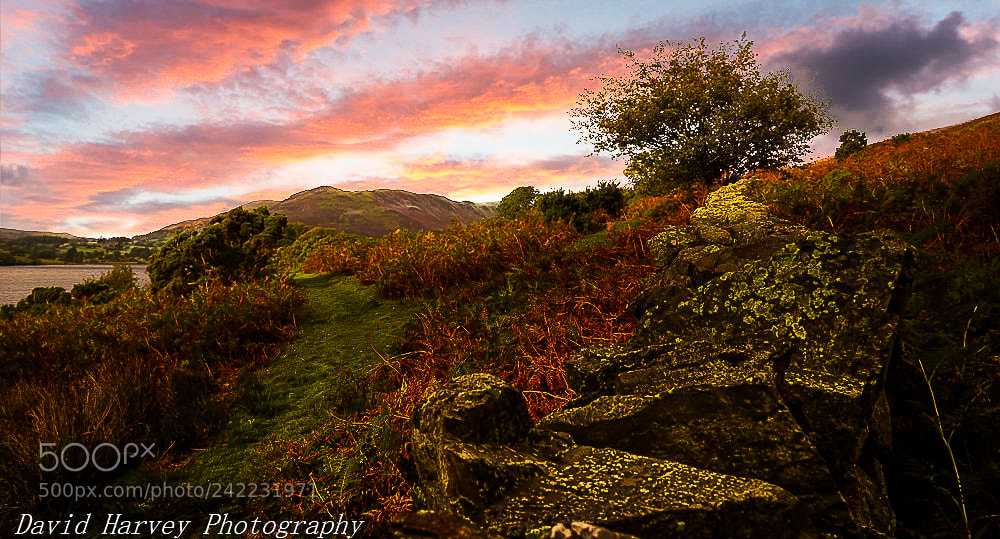 Nikon D7200 sample photo. Evening glow photography