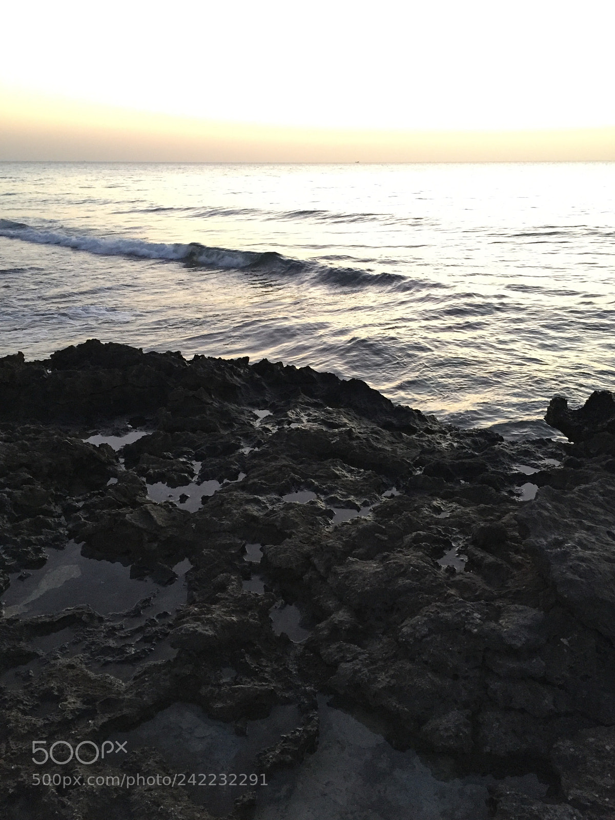Apple iPhone 6 sample photo. Untitled photography
