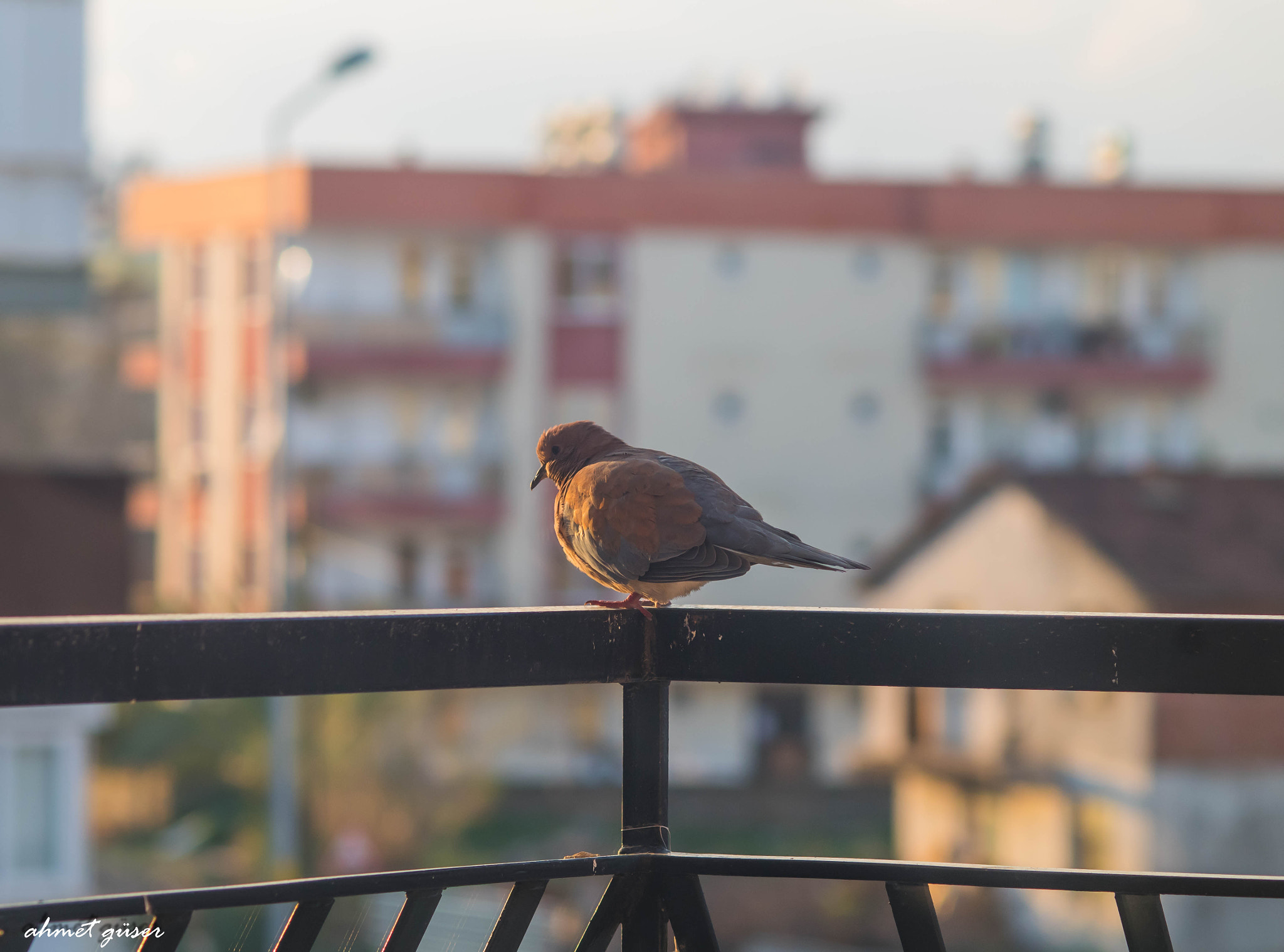 Pentax K-S1 sample photo. Yusufcuk.... photography