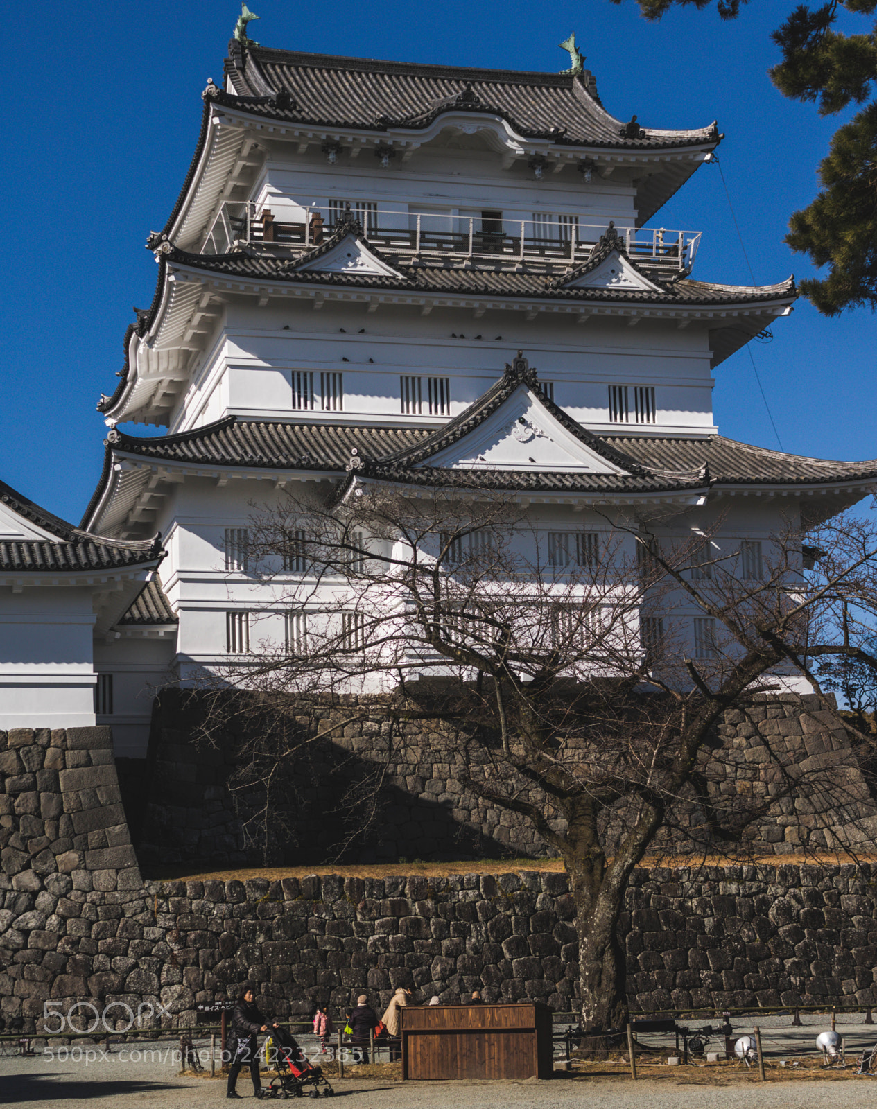 Canon EOS 750D (EOS Rebel T6i / EOS Kiss X8i) sample photo. Odawara castle photography