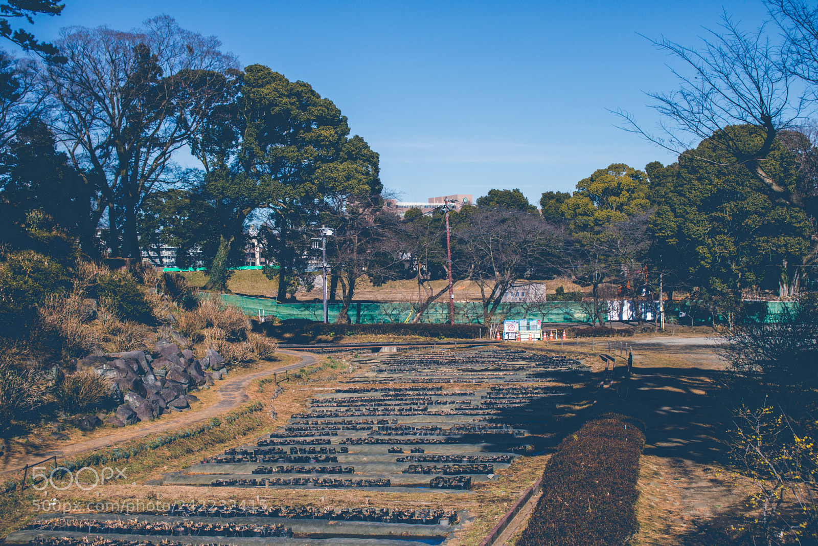 Canon EOS 750D (EOS Rebel T6i / EOS Kiss X8i) sample photo. Mg photography