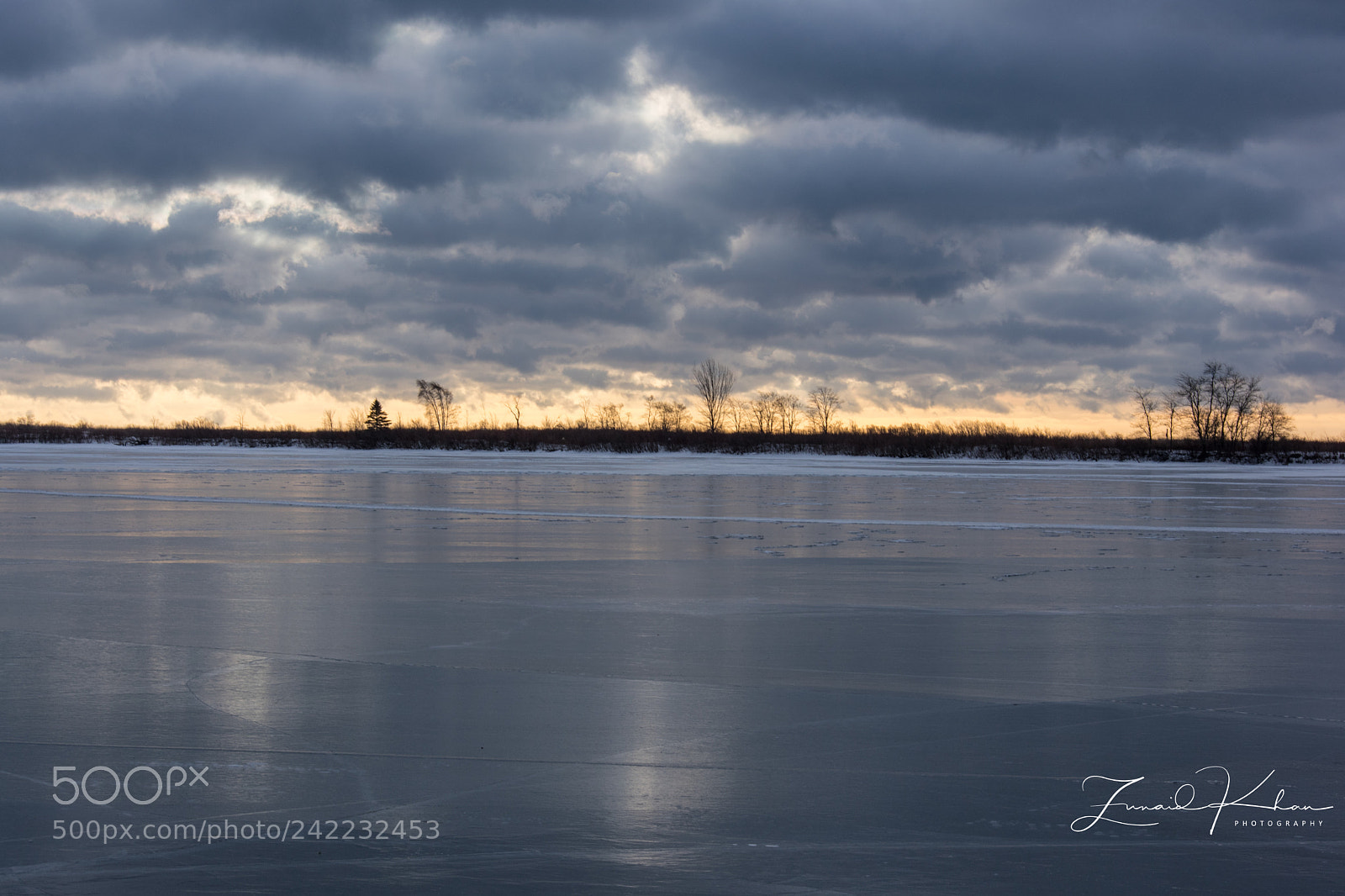 Nikon D3400 sample photo. Tommy thompson park photography