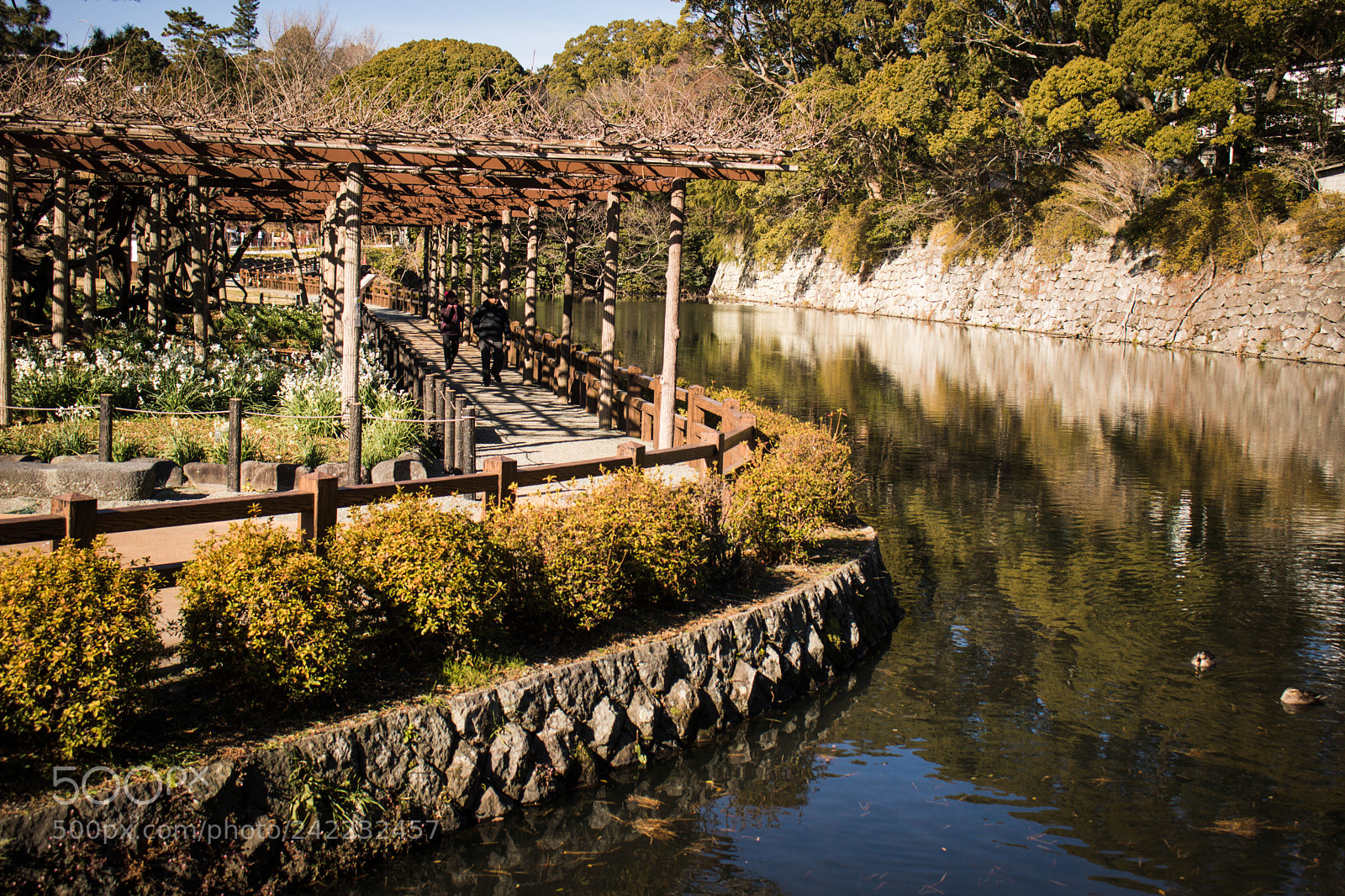 Canon EOS 750D (EOS Rebel T6i / EOS Kiss X8i) sample photo. Japanese tranquility photography