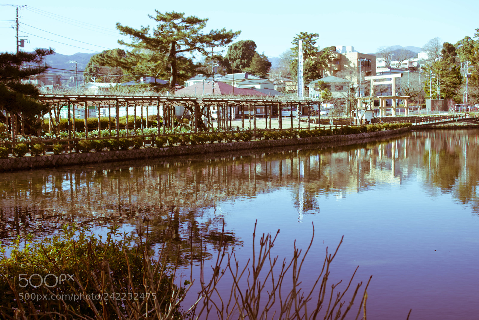 Canon EOS 750D (EOS Rebel T6i / EOS Kiss X8i) sample photo. Japanese pond photography